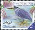 Striated Heron Butorides striata  2012 Birds definitives 