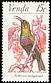 Marico Sunbird Cinnyris mariquensis  1981 Sunbirds 