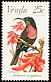 Scarlet-chested Sunbird Chalcomitra senegalensis  1981 Sunbirds 