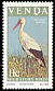 White Stork Ciconia ciconia