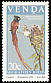 African Paradise Flycatcher Terpsiphone viridis  1984 Migratory birds 