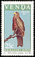 Yellow-billed Kite Milvus aegyptius  1984 Migratory birds 