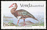 Spur-winged Goose Plectropterus gambensis  1987 Ducks 