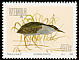 Striated Heron Butorides striata  1993 Herons 