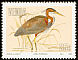 Purple Heron Ardea purpurea