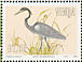 Black-headed Heron Ardea melanocephala  1993 Herons Sheet