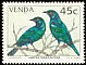 Cape Starling Lamprotornis nitens  1994 Starlings 