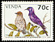 Violet-backed Starling Cinnyricinclus leucogaster  1994 Starlings 