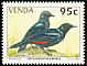 Red-winged Starling Onychognathus morio  1994 Starlings 