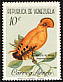 Guianan Cock-of-the-rock Rupicola rupicola  1961 Birds 