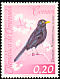 Glossy-black Thrush Turdus serranus  1962 Birds 