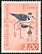 Black-necked Stilt Himantopus mexicanus  1962 Birds 