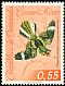Pauraque Nyctidromus albicollis  1962 Birds 