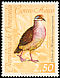 Lined Quail-Dove Zentrygon linearis  1962 Birds 