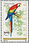Scarlet Macaw Ara macao  1993 America 