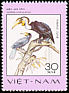 Wreathed Hornbill Rhyticeros undulatus  1977 Rare birds 