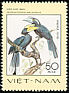 Black Hornbill Anthracoceros malayanus  1977 Rare birds 