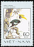Great Hornbill Buceros bicornis  1977 Rare birds 