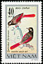 Red-winged Laughingthrush Trochalopteron formosum  1978 Songbirds 