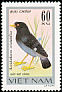 Crested Myna Acridotheres cristatellus