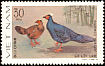 Edwards's Pheasant Lophura edwardsi  1979 Pheasants 