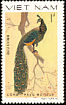Green Peafowl Pavo muticus  1979 Pheasants 
