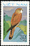 Common Kestrel Falco tinnunculus  1982 Birds of prey 