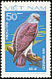 Lesser Fish Eagle Haliaeetus humilis  1982 Birds of prey 