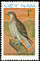 Short-toed Snake Eagle Circaetus gallicus  1982 Birds of prey 