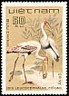 Painted Stork Mycteria leucocephala  1983 Birds 