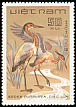 Purple Heron Ardea purpurea  1983 Birds 