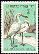 Black-faced Spoonbill Platalea minor  1983 Birds 