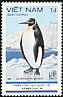 King Penguin Aptenodytes patagonicus