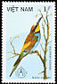 European Bee-eater Merops apiaster