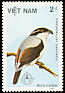 Dalat Shrike-babbler Pteruthius annamensis  1986 Stockholmia 86 