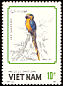 Blue-and-yellow Macaw Ara ararauna  1988 Parrots 