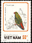 Vernal Hanging Parrot Loriculus vernalis  1988 Parrots 