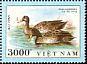 Yellow-billed Duck Anas undulata  1990 Ducks 6v sheet