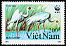 White-naped Crane Antigone vipio