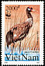 Black-necked Crane Grus nigricollis