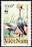 Grey Crowned Crane Balearica regulorum  1991 WWF 
