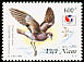 Wilson's Storm Petrel Oceanites oceanicus  1994 Philakorea 1994 