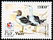 Belcher's Gull Larus belcheri  1994 Philakorea 1994 