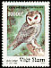 Northern White-faced Owl Ptilopsis leucotis  1995 Owls 