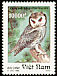 Northern White-faced Owl Ptilopsis leucotis