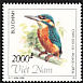 Common Kingfisher Alcedo atthis  1996 Kingfishers 