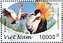 Grey Crowned Crane Balearica regulorum