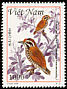 Speckled Piculet Picumnus innominatus