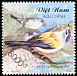 Blue-winged Minla Actinodura cyanouroptera  2002 Birds 