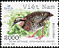 Orange-necked Partridge Arborophila davidi  2006 BirdLife International 